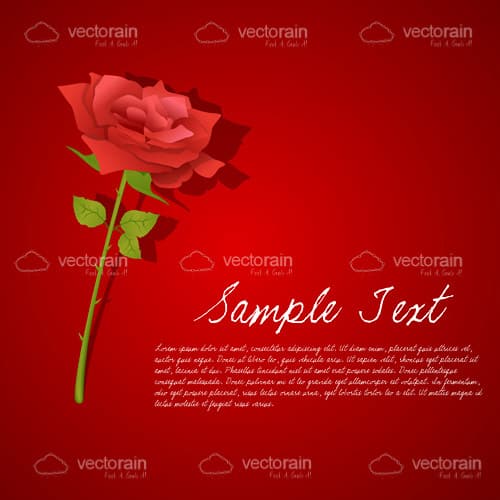 Red Rose Card with Sample Text